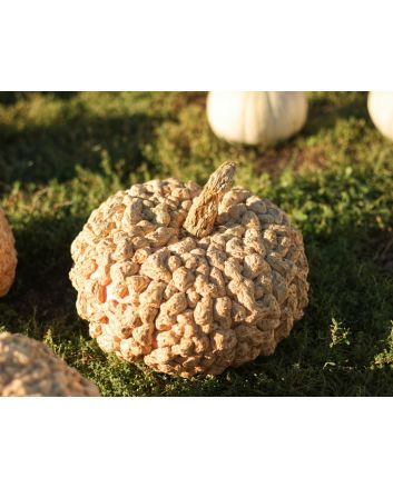 Pumpkin 'Peanut' Seeds (Naturally Grown)