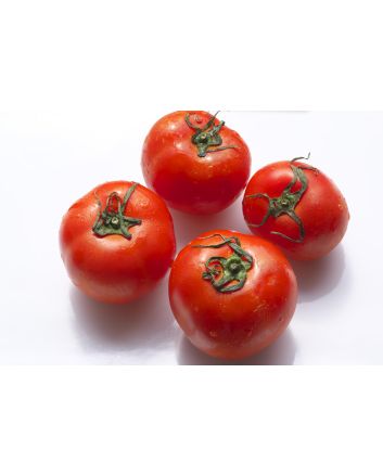 Tomato 'Siberian'
